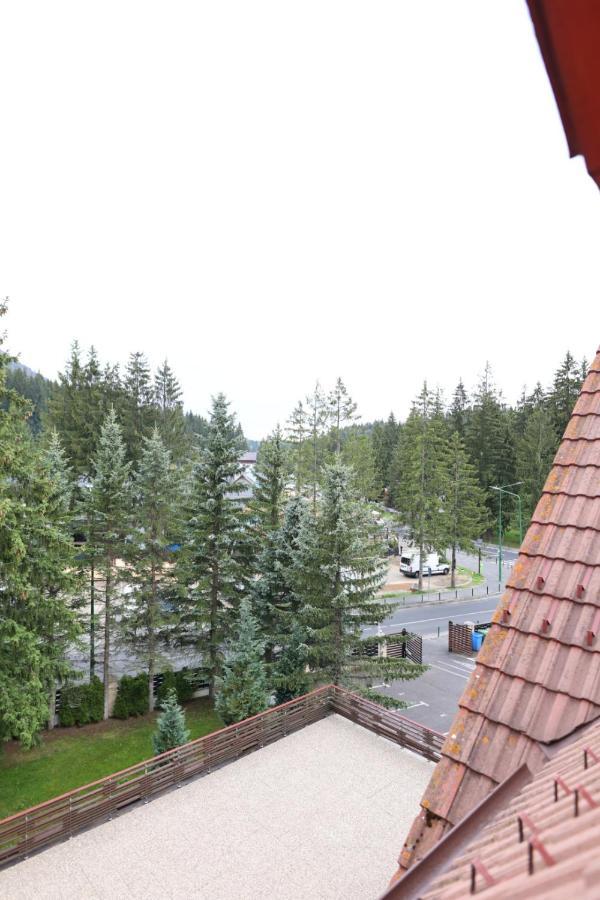 Vila Pinul Si Mesteacanul Poiana Brașov Exterior foto